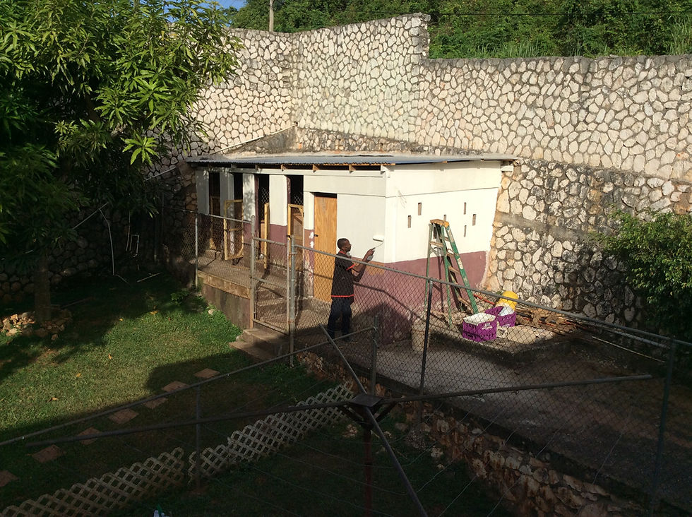 KCAW's renovated kennels are being painted
