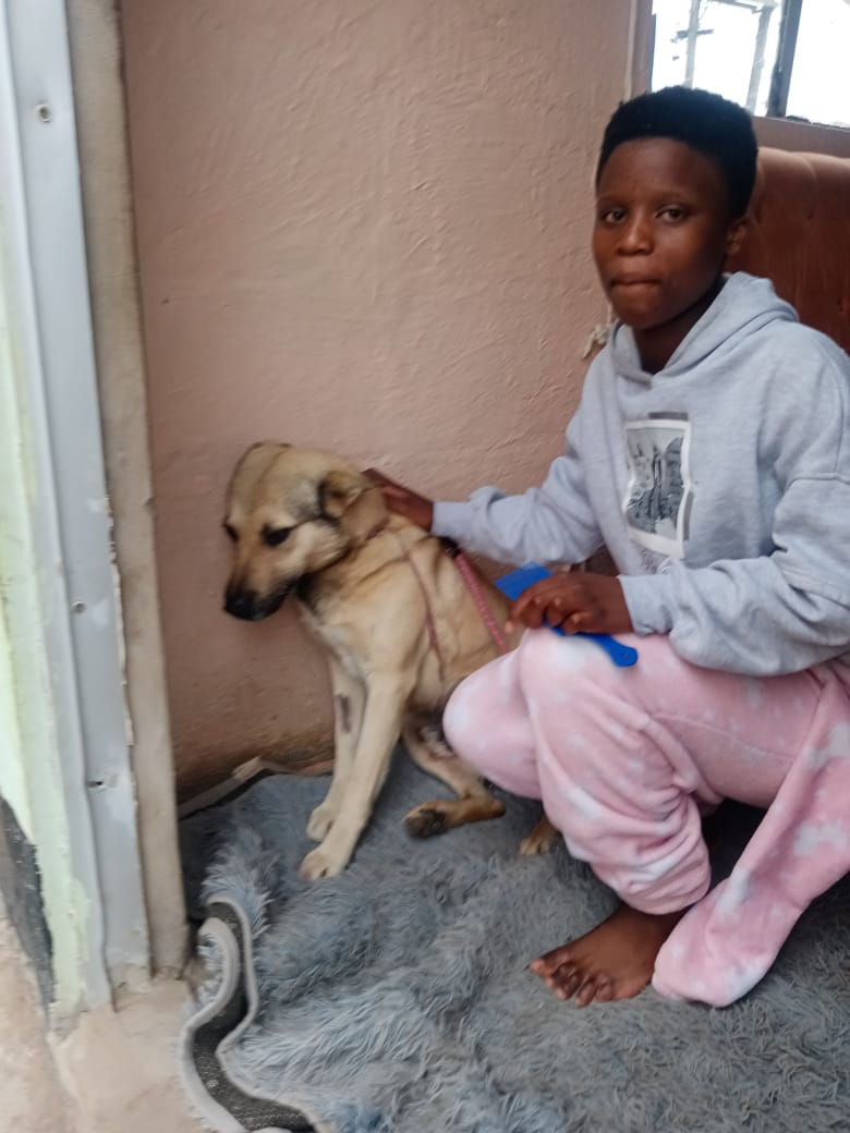 A girl kneeling next to a tan dog with her hand on the dog in South Africa.