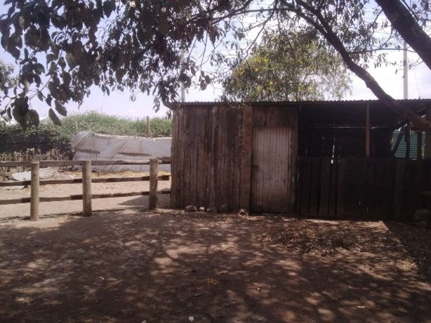 Old barn type structure in Kenya.