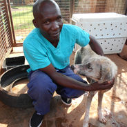 Will 2018 be the year for a new Haven + info on how the Uganda SPCA used your donations