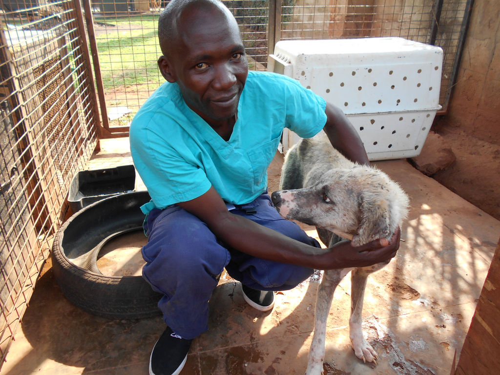 Uganda Society for the Protection and Care of Animal | Animal Kind