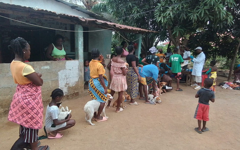 Adults and children with dogs line up outside a rural building under trees where a person in a white coat assists at a table in Liberia.