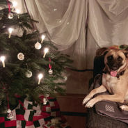 Diana & Bully: A Ugandan Love Story