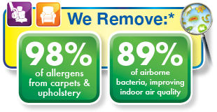 Statistics About Upholstery Clening St Louis