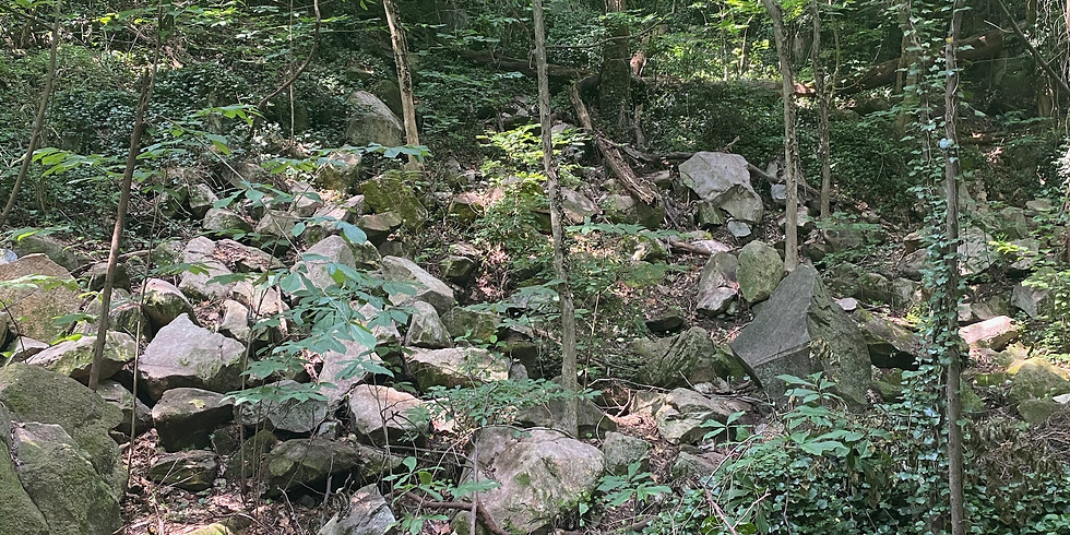 Forest Hill Park