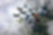 equipe 2.jpg