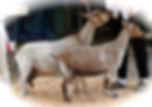 b46e2c_a2080fb5ffff4fc1baec6fd926c27d2d~