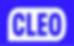 ceb9e4_324479bf55144ea1b432e851d60419ba~mv2_edited
