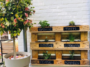 Jardinage urbain, quelques conseils pour bien commencer
