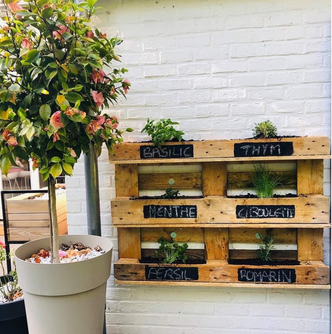 Palette potager Cultivit culture jardinage herbes plantes balcon terrasse