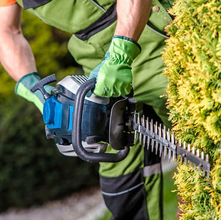 White Brown Minimalist Modern Home Flyer (1)_edited.jpg