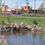 Thumbnail: US 36 & 104th Roads; Utility Infr; Shops at Walnut Creek, Westminster, CO