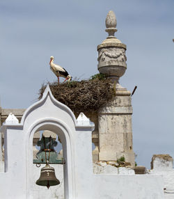 smallportugal-2_1738x1994