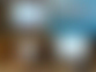 參加國際專業人才輸送計畫會議