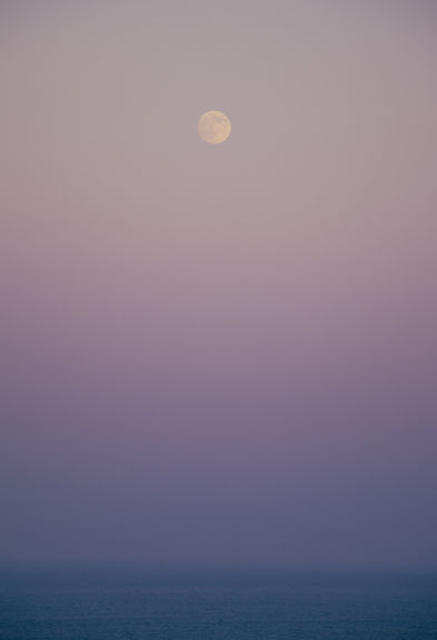 full moon rising in pink skies