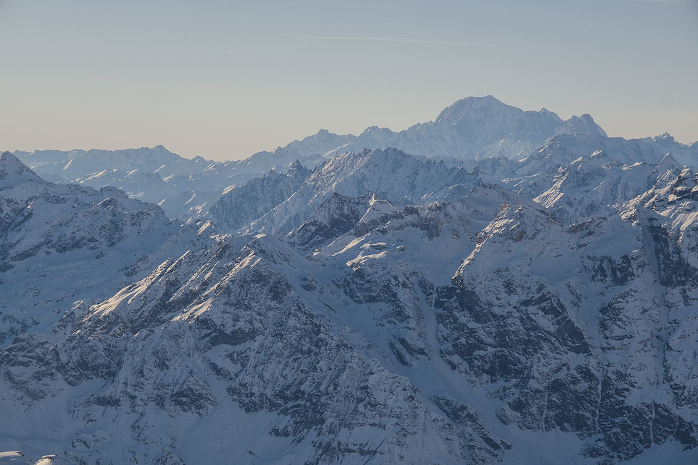 nellypsy crow-09.jpg