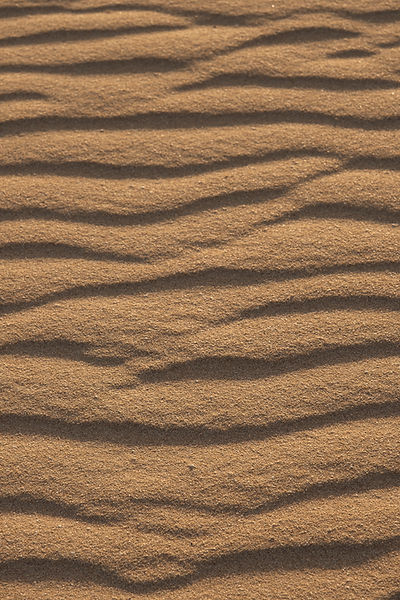 sand patterns in the desert waves
