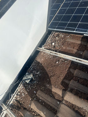 Verunreinigte Photovoltaikmodule durch Tauben