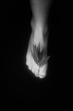 © Kerstin Kuntze