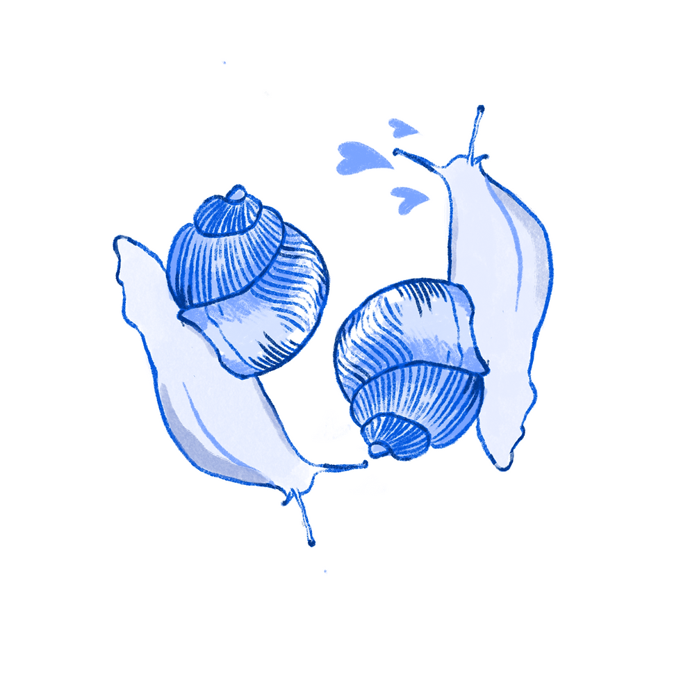 Tender is the Snail
