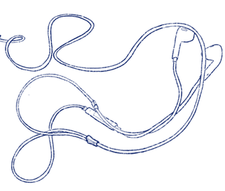 Illustration by Derin Ogutcu