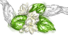 JacquelineSubkhanberdina_SelmaIllustrationEssay (1).jpg