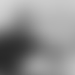 Postcard, February 2018