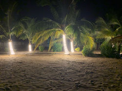 IMG-20250222-WA0037(1)