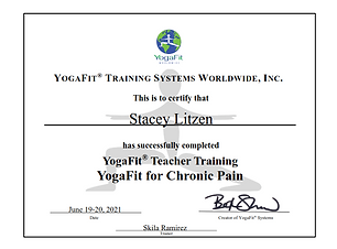 Yoga Fit® Teacher Training Yoga Fit for Chronic Pain.png