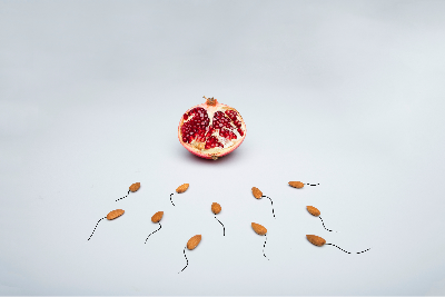 male fertility