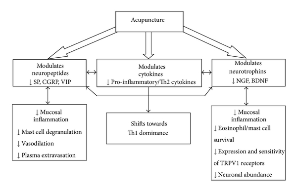 How can acupuncture help hayfever