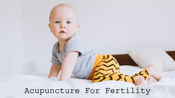 best IVF acupuncture London.webp
