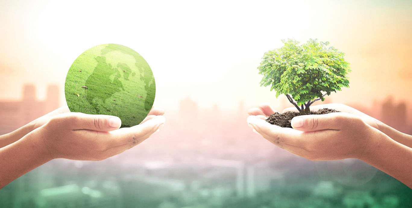 931534448-Sustainability.jpg