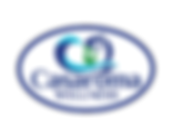 Product Information - Unscented Carriers and Bases
