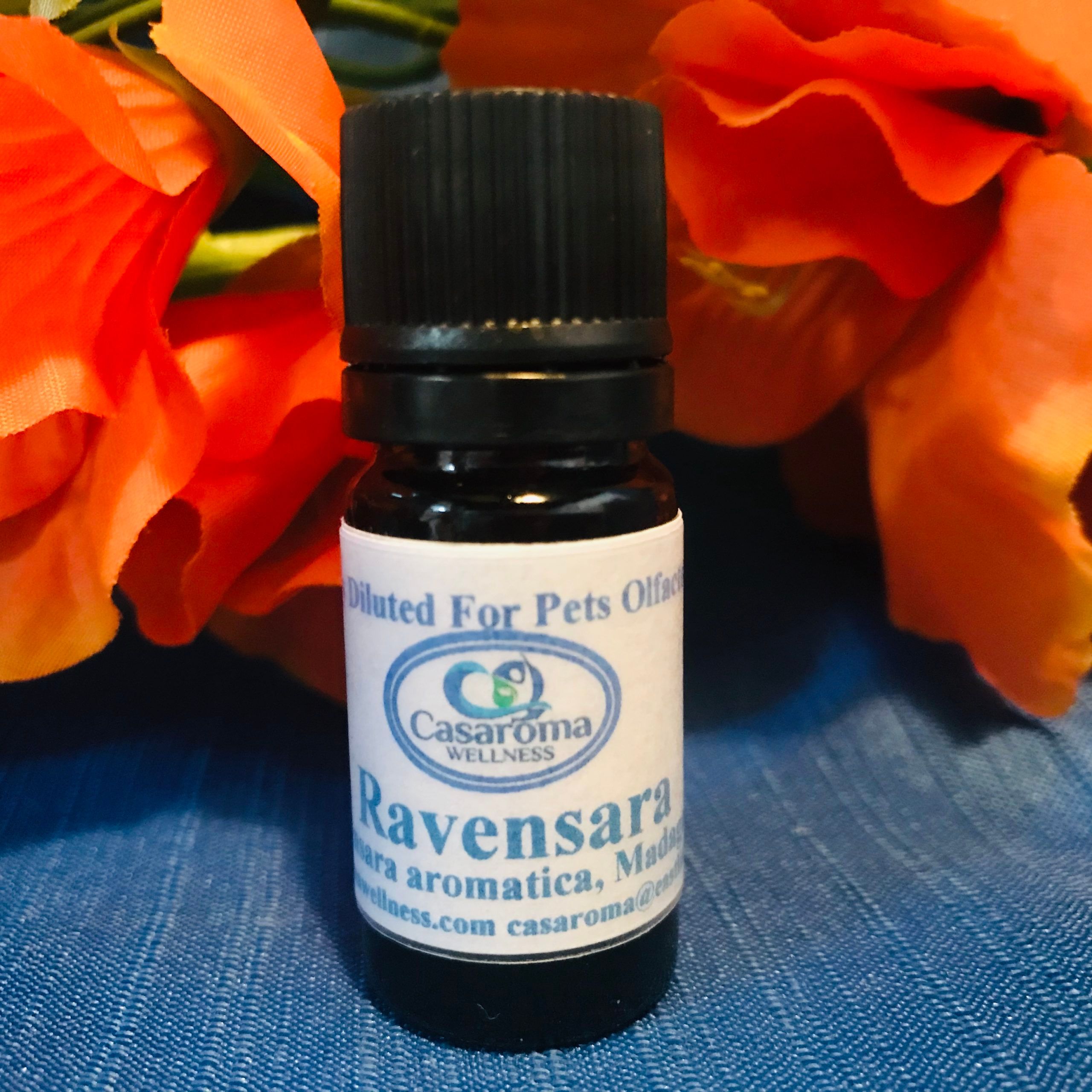 Pets - Ravensara - Ravensara aromatica