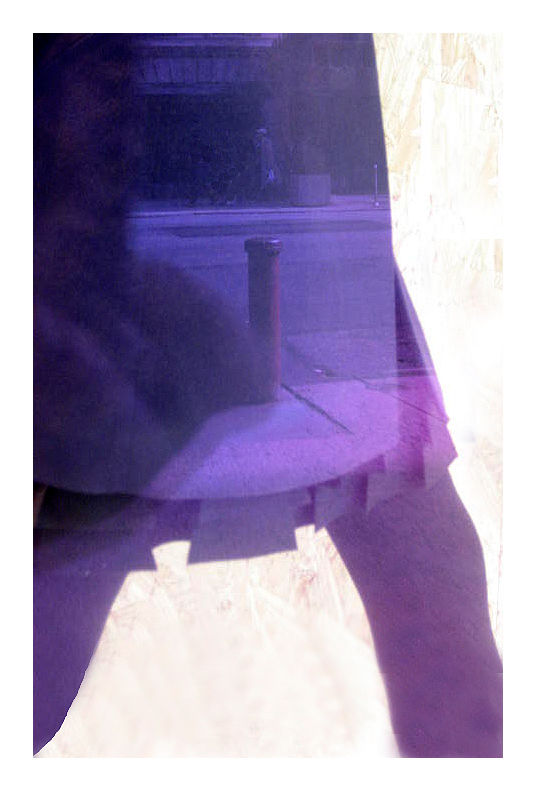 NYwindows_03