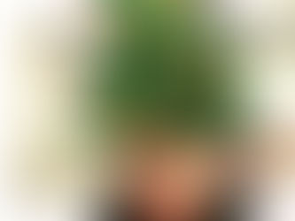 I am going to step on your humbug