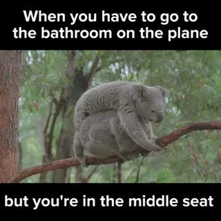 Let’s agree right now that the middle seat on a plane is not coming back