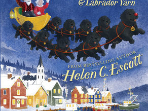 Christmas in Hope Cove
