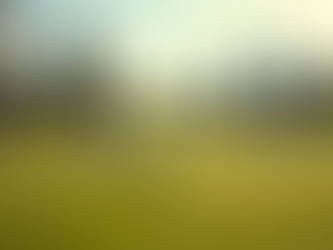 Cultivating Diversity and Connection Through Golf