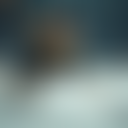 Patrick Asböck: Die Erfolgsgeschichte eines Eishockeyprofis