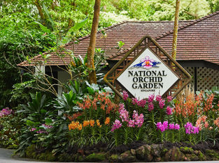 The Singapore Garden Festival (SGF) Orchid Show Returns in Full Splendour at the Singapore Botanic Gardens