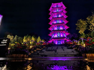 Lunar New Year Lights at the Chinese Garden: A Dazzling Celebration Awaits