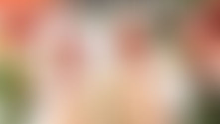 Gift Wrapping: A Quick and Easy Guide