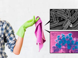 The Dirty Secret Lurking in Your Kitchen Towels