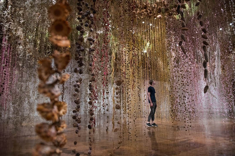 dried and preserved flowers installation