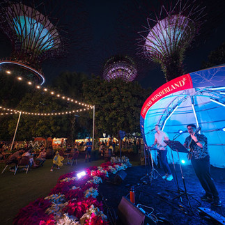 Christmas Wonderland at Gardens by the Bay