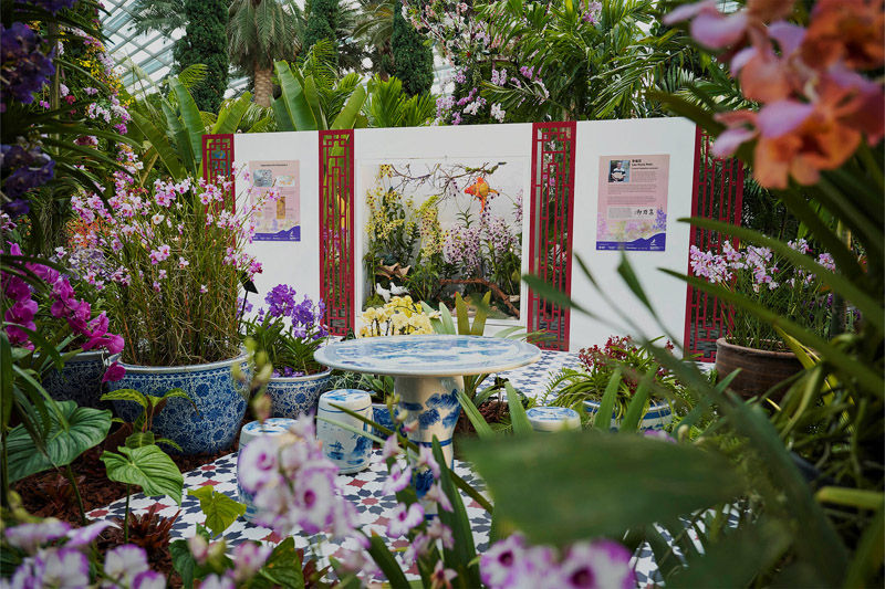 Orchid garden scene with colorful flowers, blue-patterned table, and pots on a tiled floor. Lush greenery surrounds panel displays.