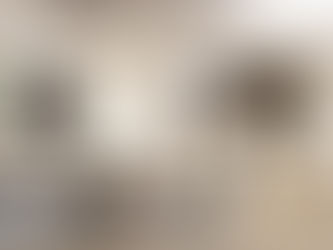 Exploring the Appeal of Open-Concept Apartments