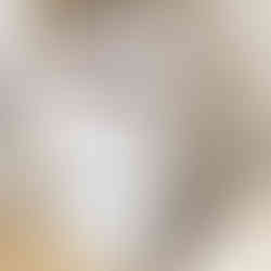 multi-purpose furniture